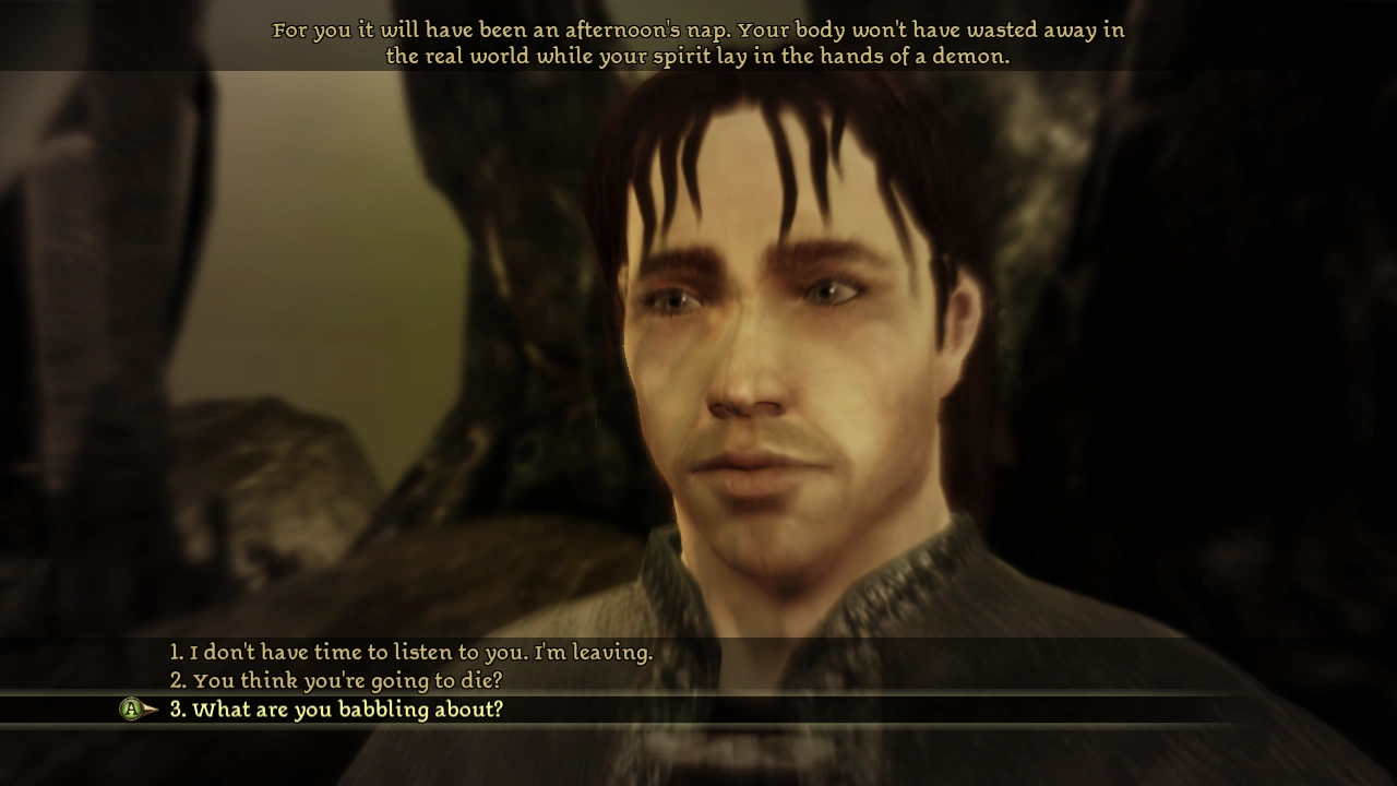 Dragon Age: Origins console dialogue choices